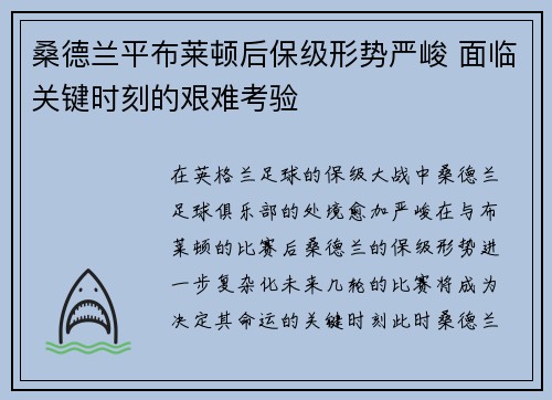 桑德兰平布莱顿后保级形势严峻 面临关键时刻的艰难考验